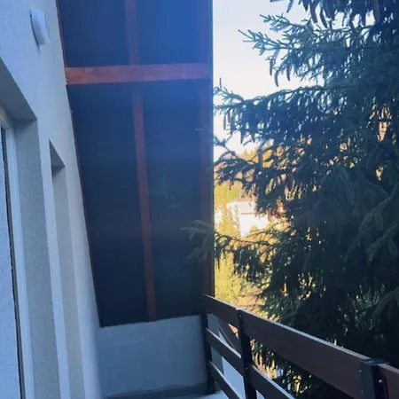 Apartment Stara Bacija *
