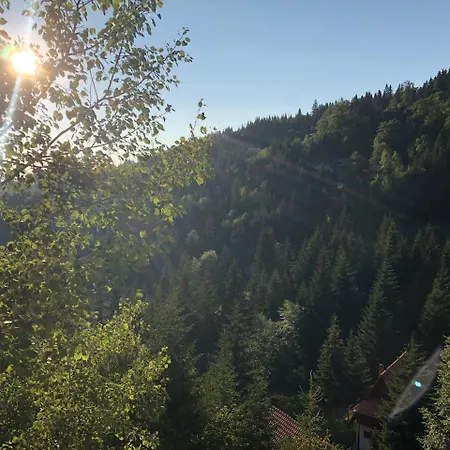 Stara Bacija * Kopaonik