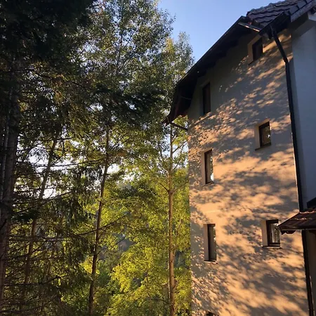 Stara Bacija *