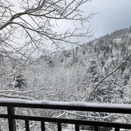 Stara Bacija Apartment Kopaonik