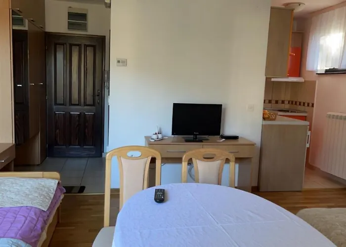 Stara Bacija Κοπαόνικ