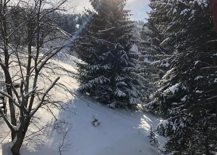 Stara Bacija Κοπαόνικ