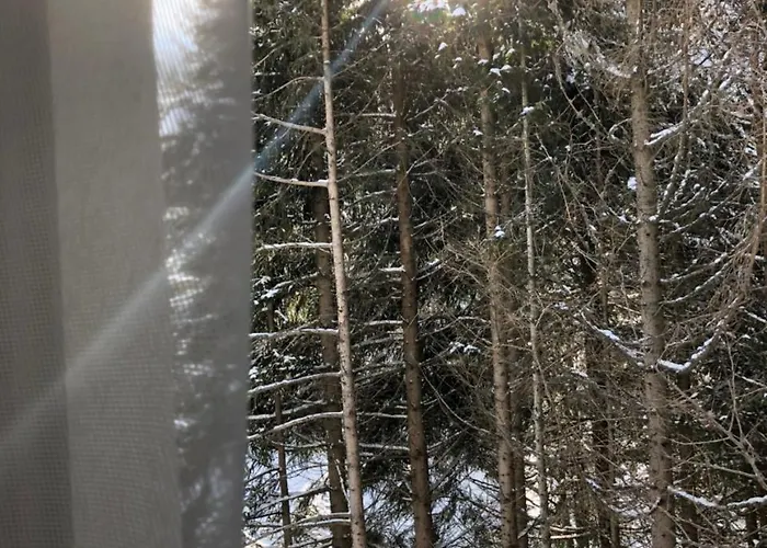 Stara Bacija Διαμέρισμα