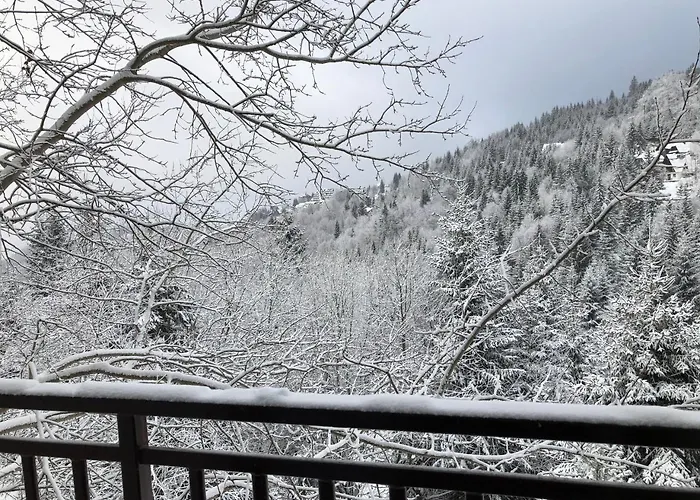 Stara Bacija Διαμέρισμα Κοπαόνικ